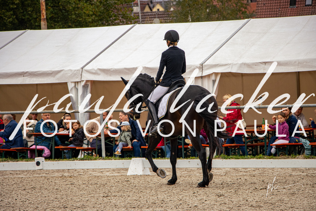 IMG_1036 | Erleben Sie dynamische Sport- und emotionale Tierfotografie in Süddeutschland mit Fotos von Paula. Spezialisiert auf Pferde- und Hundefotografie sowie Sportevents. Kontaktieren Sie mich für einzigartige und ausdrucksstarke Bilder Ihrer besonderen Momente. - Realisiert mit Pictrs.com