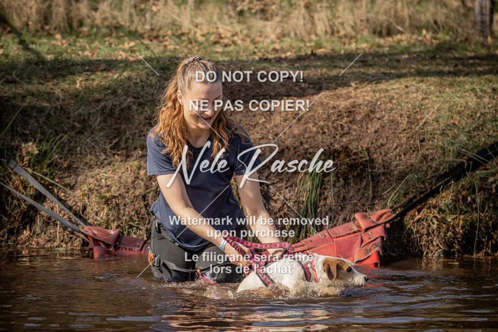 nelerasche_FS1330-1400_243 | nelerasche