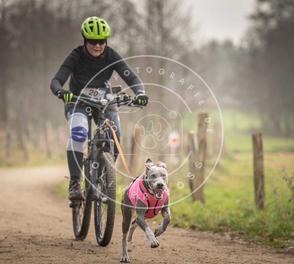Pfotenfotografie_DV3A2054 | Hundefotografie, Tierfotograf, Pfotenfotografie, Fotoshooting Hund, Hunde Portrait, Hundesport, Hundeportraits, Heideshooting, Hunde, Sportfotograf, Hundefotograf, Turnierhundsport, THS,  - Realisiert mit Pictrs.com