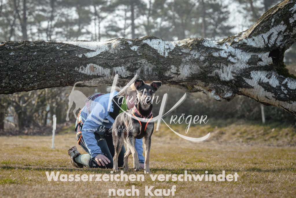 1011_ZZ91775 | kk-dogfotos