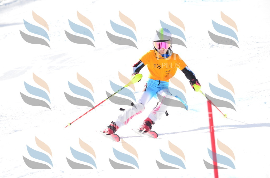 C7941 | holidayphoto