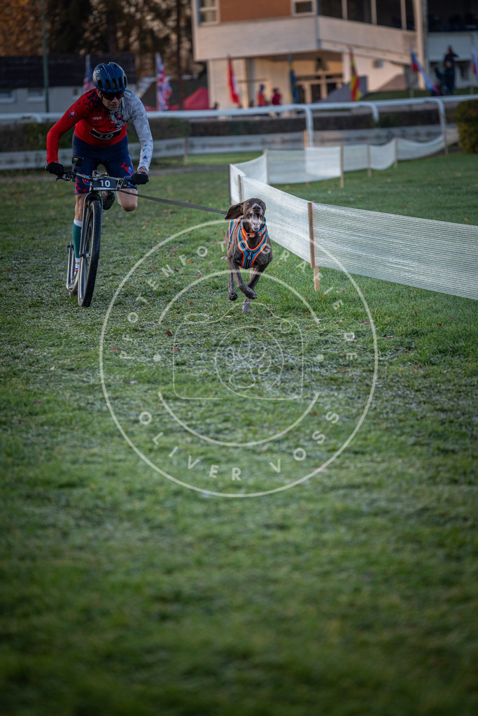 CaniXpix_0L8A1076 | Hundefotografie, Tierfotograf, Pfotenfotografie, Fotoshooting Hund, Hunde Portrait, Hundesport, Hundeportraits, Heideshooting, Hunde, Sportfotograf, Hundefotograf, Turnierhundsport, THS,  - Realisiert mit Pictrs.com