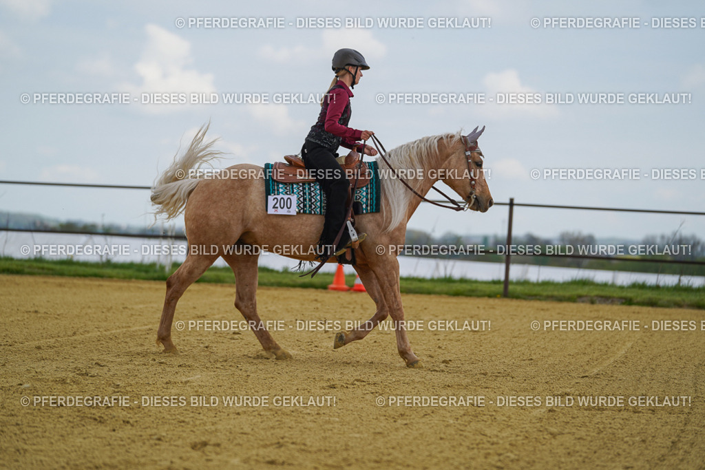 DSC05734 | Pferdegrafie