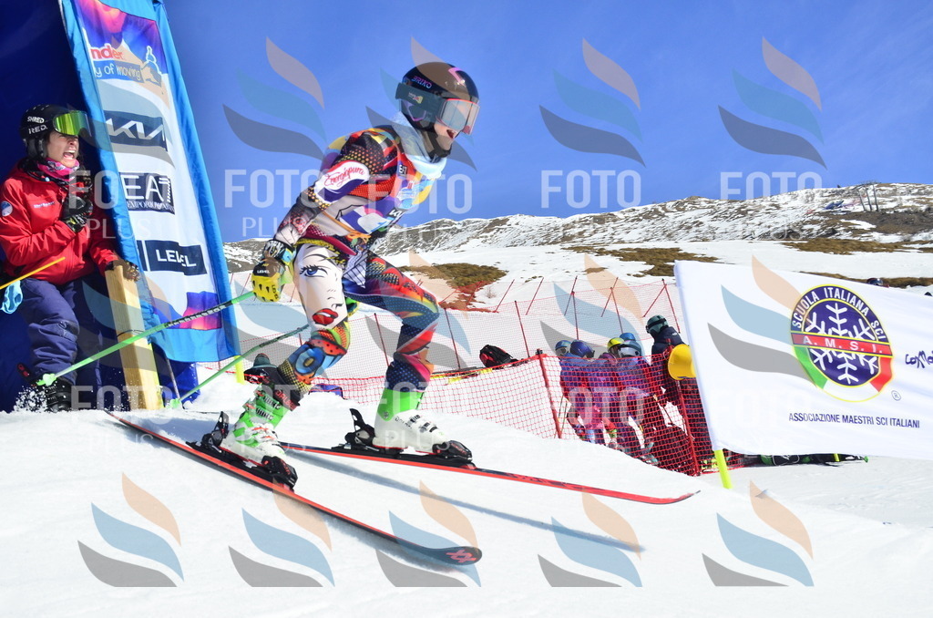 _ELE9845 | holidayphoto