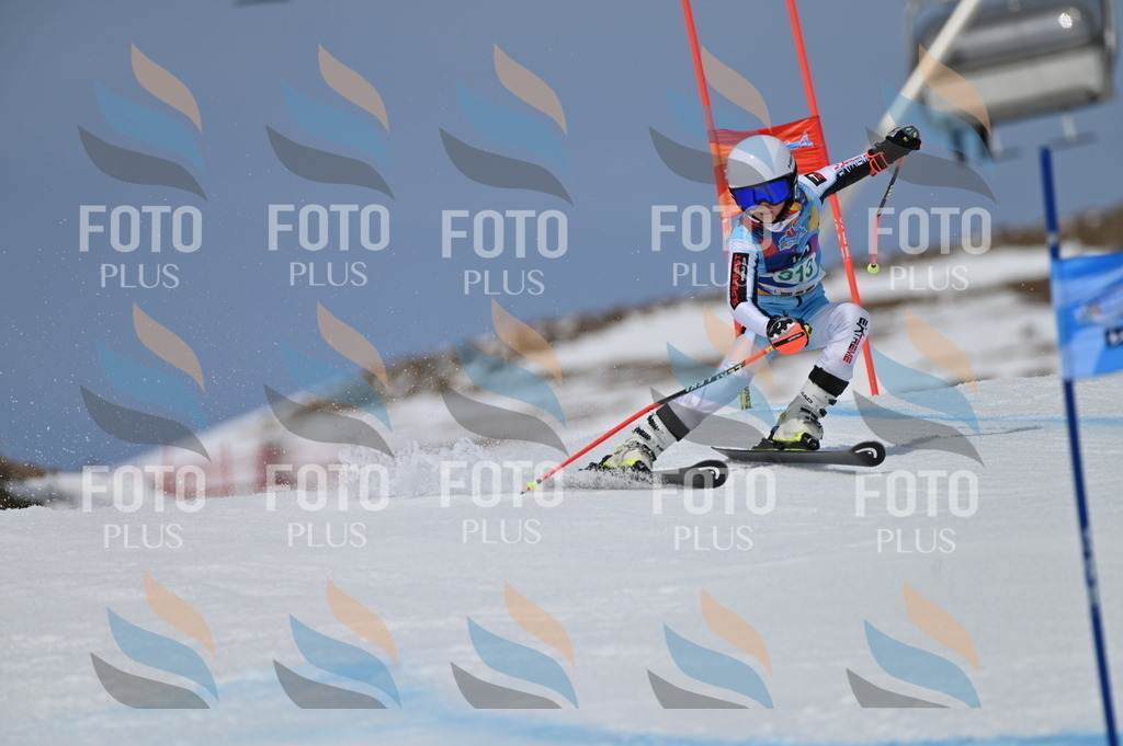 BGV_6196 | holidayphoto