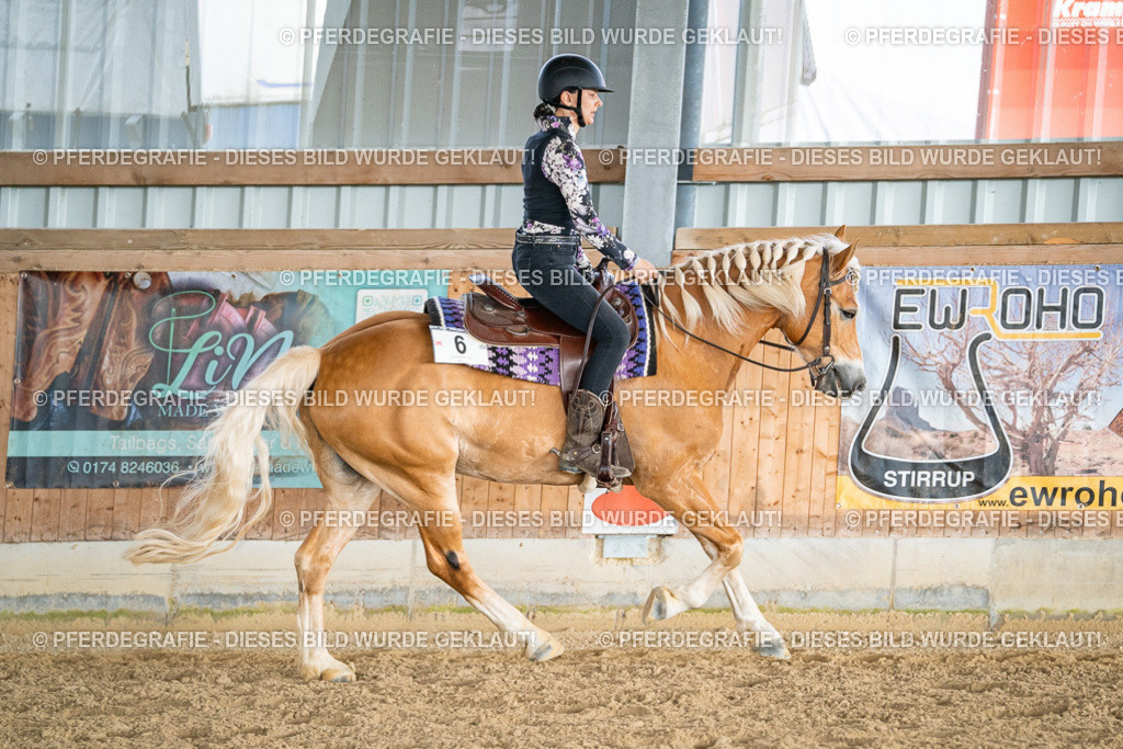 DSC08222 | Pferdegrafie