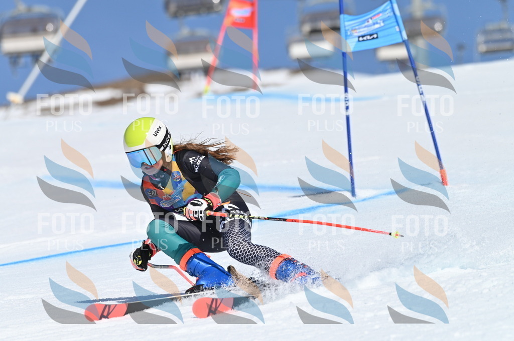 BGV_9222 | holidayphoto