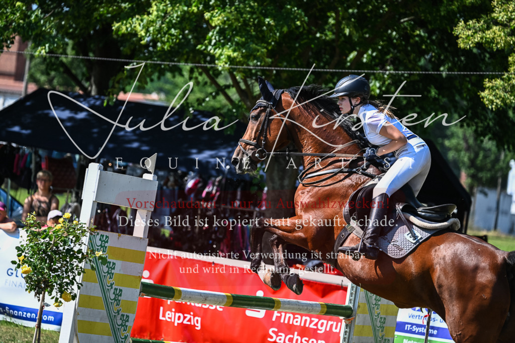 DSC_1732 | Pferde- und Turnierfotografie in Westsachsen. Pferdeportraits, Auftragszeichnungen und intuitive Kunst.