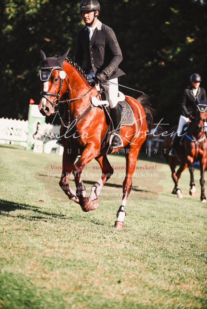 DSC_2321 | Pferde- und Turnierfotografie in Westsachsen. Pferdeportraits, Auftragszeichnungen und intuitive Kunst.