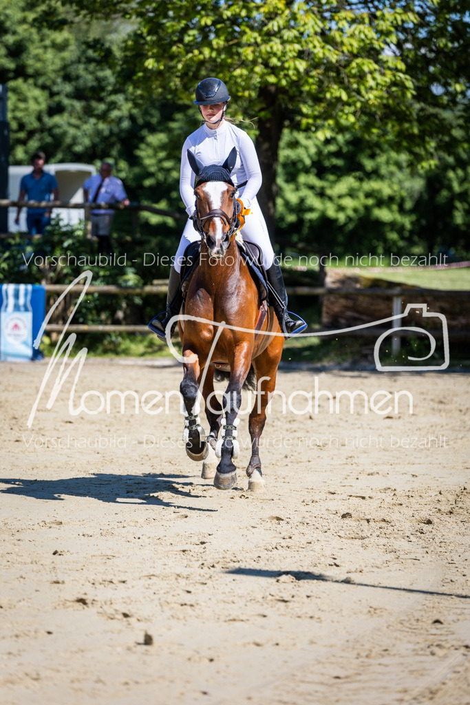 Donop24-M-Spr-097 | MomenTaufnahmen Pferdesportfotos