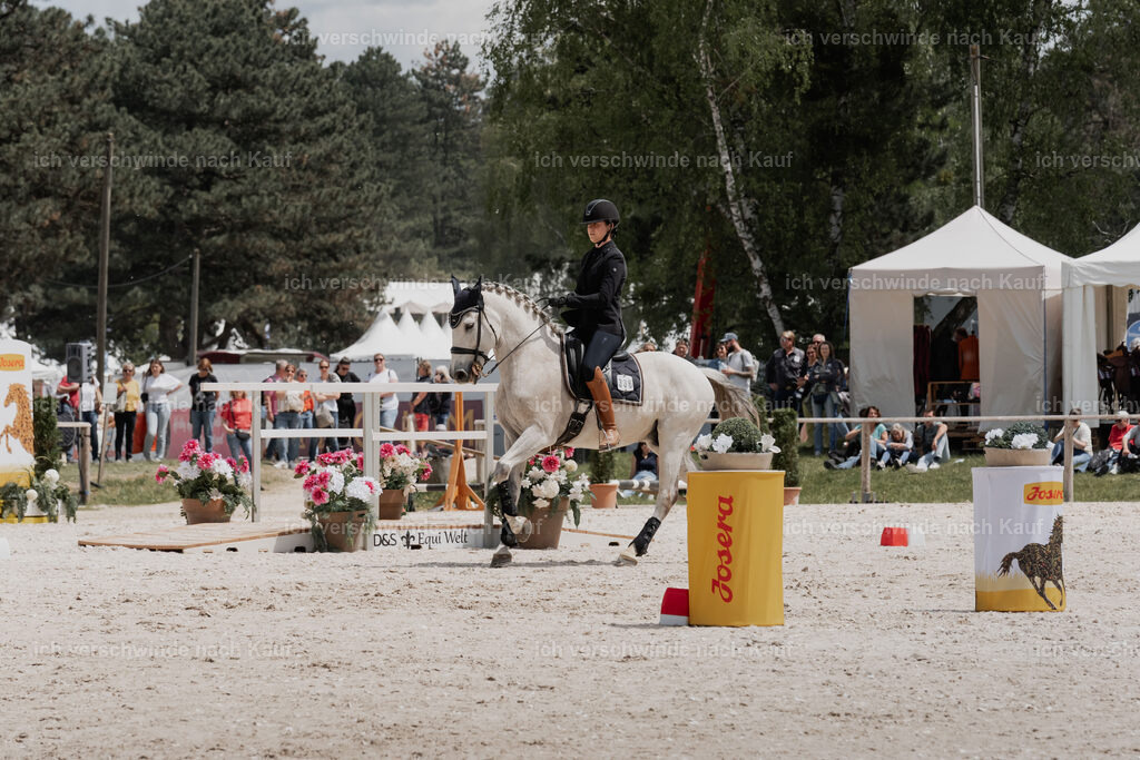 WE_ST_Stoib_336_PI2025_1127 | Pferd International München 2025