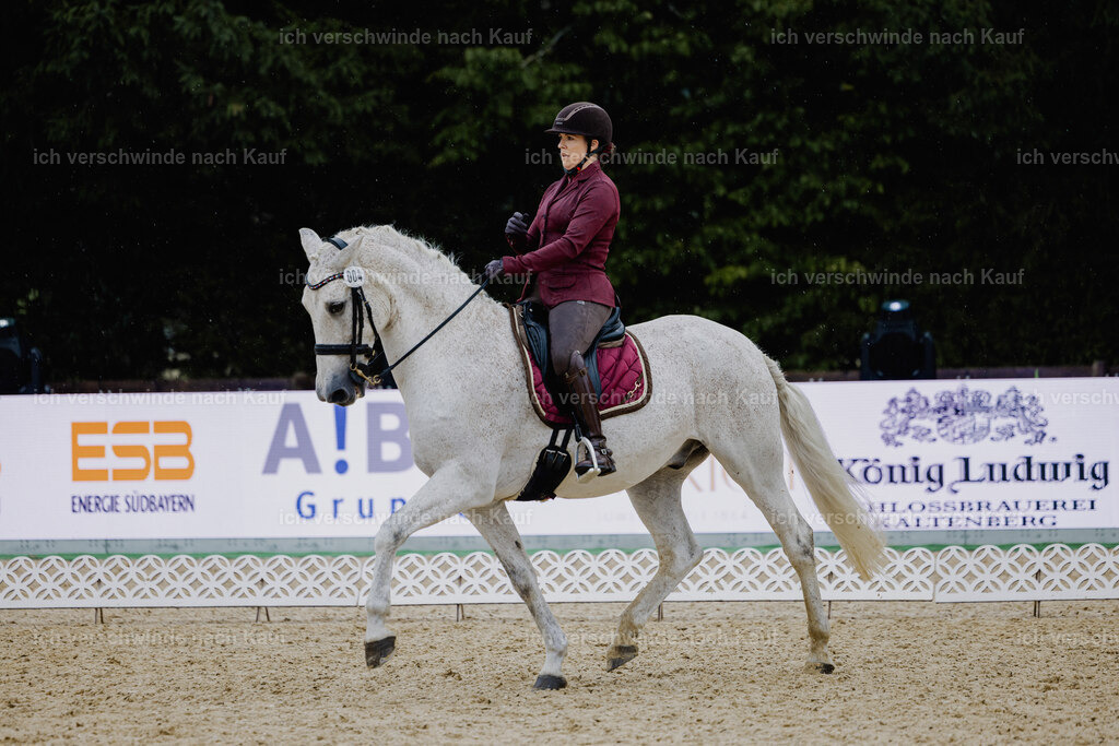 Kelly4_FHC2025-24753 | working equitationturnier fotograf videograf stoibphotography marixx film working equitation deutschland reitsport turnierfotografie eventfotografie equestrian events