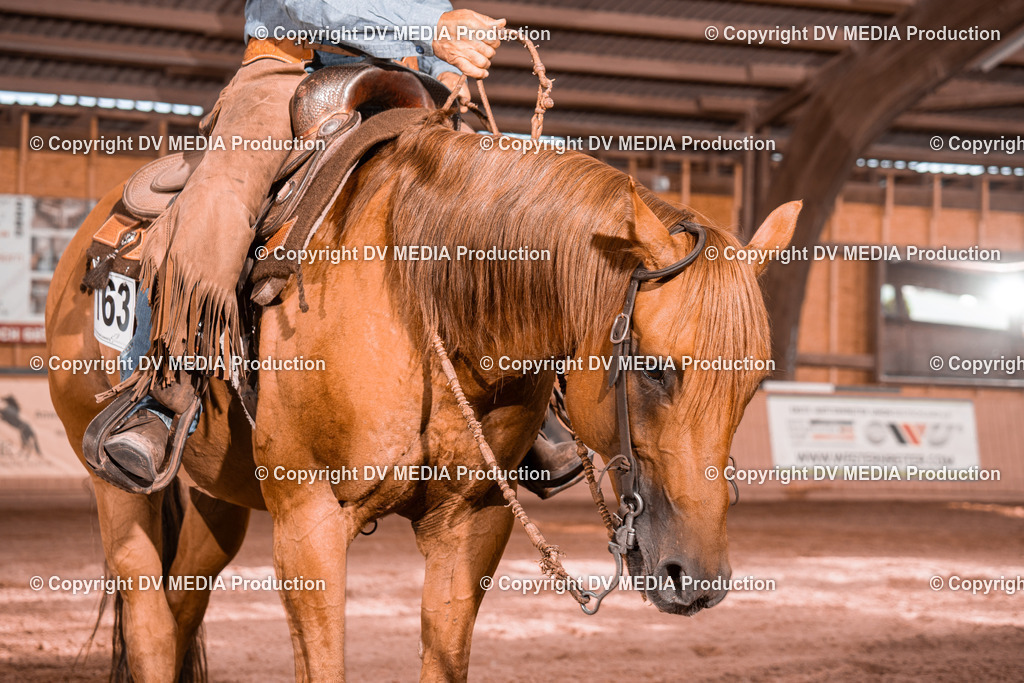 NE100709 | dv-media-shop - Realisiert mit Pictrs.com