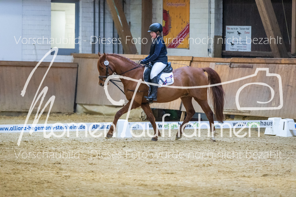 Sth-WBO25-DrR-115 | MomenTaufnahmen Pferdesportfotos