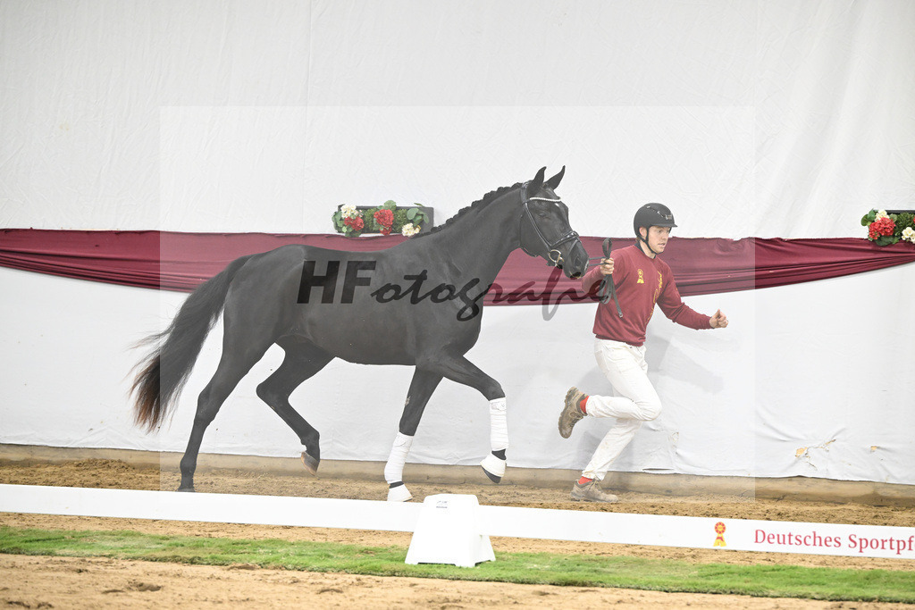 Kat-Nr. 37 St. Emilion x Quantensprung_Uwe Kraft_47251272 | hf-fotografie - Realisiert mit Pictrs.com