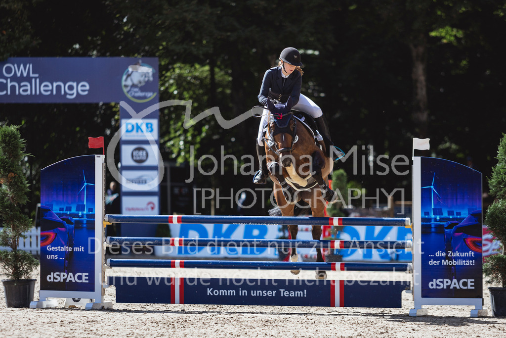 240912_OWLCh_AmateurS-284 | Deine schönsten Turniermomente als professionelle Fotos! Entdecke hochwertige Pferdesport-Fotografie im Online-Shop. Jetzt Fotos finden & bestellen!