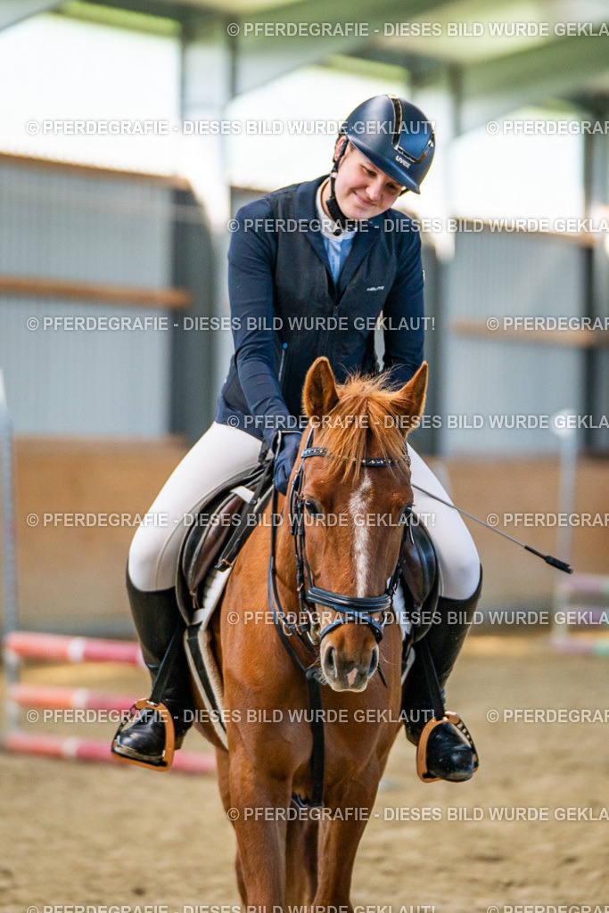 DSC01112 | Pferdegrafie