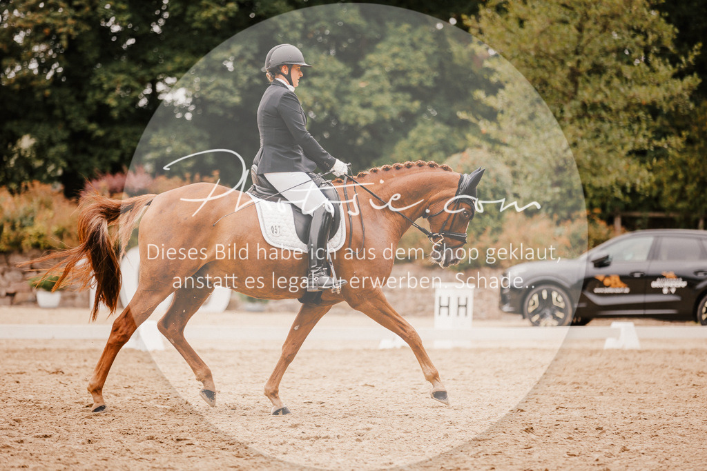 3I6A5904 | Stimmungsvolle Portraits und Reitsportfotografie im Ruhrgebiet und im Münsterland.

Pferdefotografie, Hundefotografie, Tierfotografie, Reportagen, Portraits von Tier und Mensch, Turnierfotografie in Bochum, Recklinghausen, Marl, Haltern am See, Dülmen.. - Realisiert mit Pictrs.com