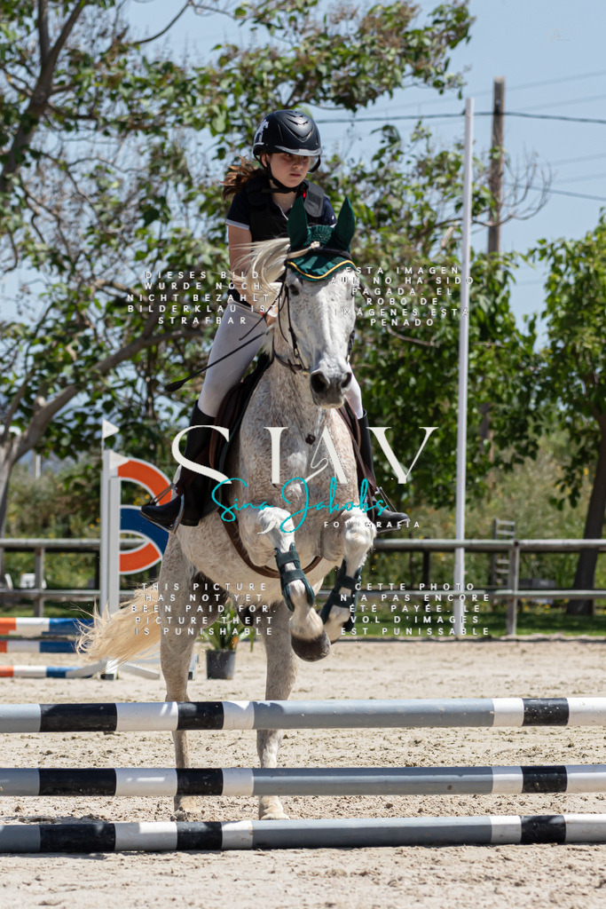 IMG_0338 | s-jay-photography - Realized with Pictrs.com