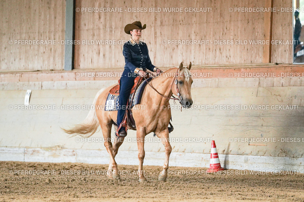 DSC05186 | Pferdegrafie