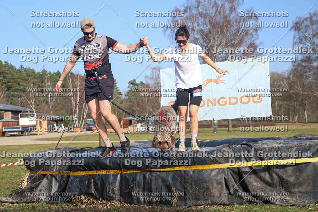 Dog Paparazzi - Strongdog North Mrz26-3515 | Dog Paparazzi Jeanette Grottendiek Fotografie & Videografie - Realisiert mit Pictrs.com