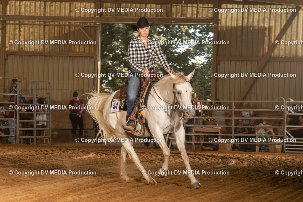 NID03806 | dv-media-shop - Realisiert mit Pictrs.com