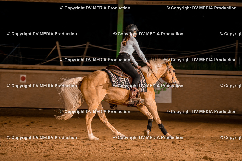 BA301474 | dv-media-shop - Realisiert mit Pictrs.com