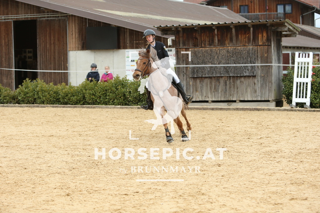 DL2Q2615 | Willkommen bei Brunnmayr - Design & Fotografie – Ihrem Spezialisten für Reitturniere und Pferdeveranstaltungen in Oberösterreich, Salzburg und Bayern! Seit über 17 Jahren sind wir leidenschaftlich dabei.