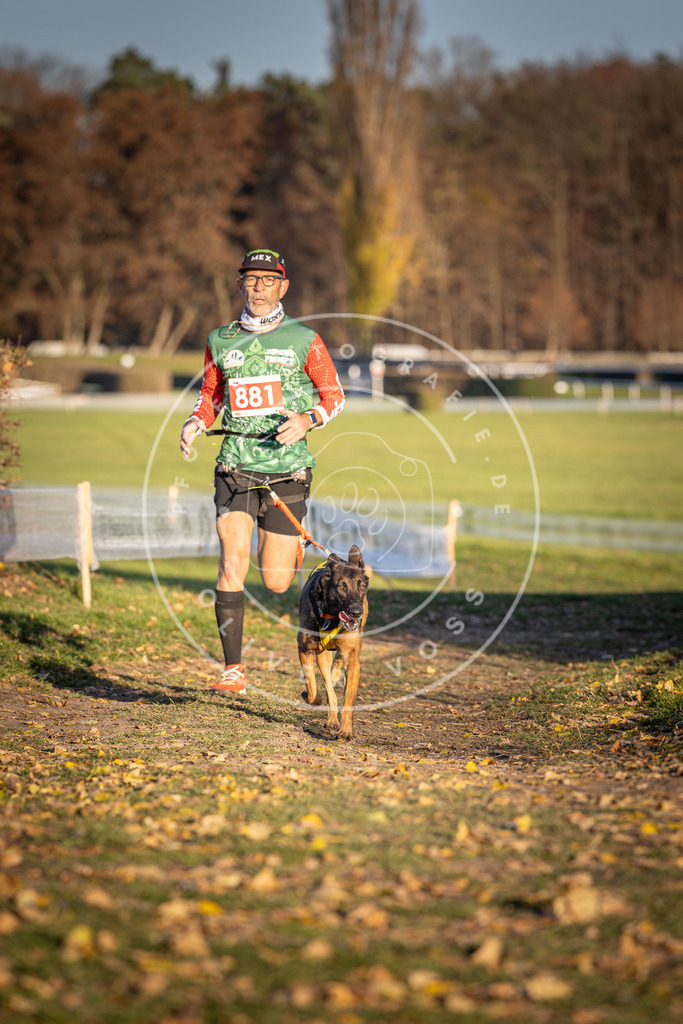 CaniXpix_DV3A4323 | Hundefotografie, Tierfotograf, Pfotenfotografie, Fotoshooting Hund, Hunde Portrait, Hundesport, Hundeportraits, Heideshooting, Hunde, Sportfotograf, Hundefotograf, Turnierhundsport, THS,  - Realisiert mit Pictrs.com