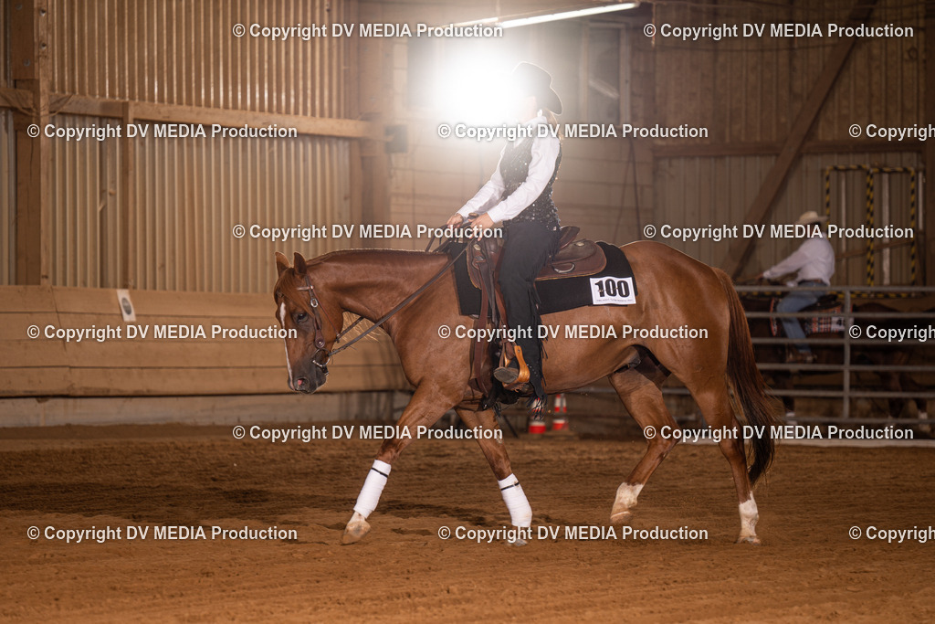 NID01046 | dv-media-shop - Realisiert mit Pictrs.com