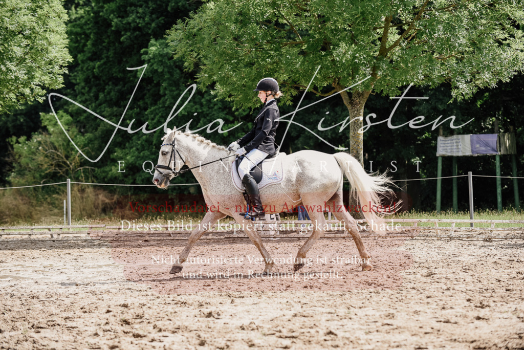 DSC_0525 | Pferde- und Turnierfotografie in Westsachsen. Pferdeportraits, Auftragszeichnungen und intuitive Kunst.
