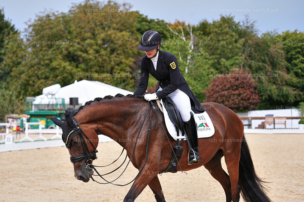 11-003-Dressur S___-Marixx-1734 | working equitationturnier fotograf videograf stoibphotography marixx film working equitation deutschland reitsport turnierfotografie eventfotografie equestrian events