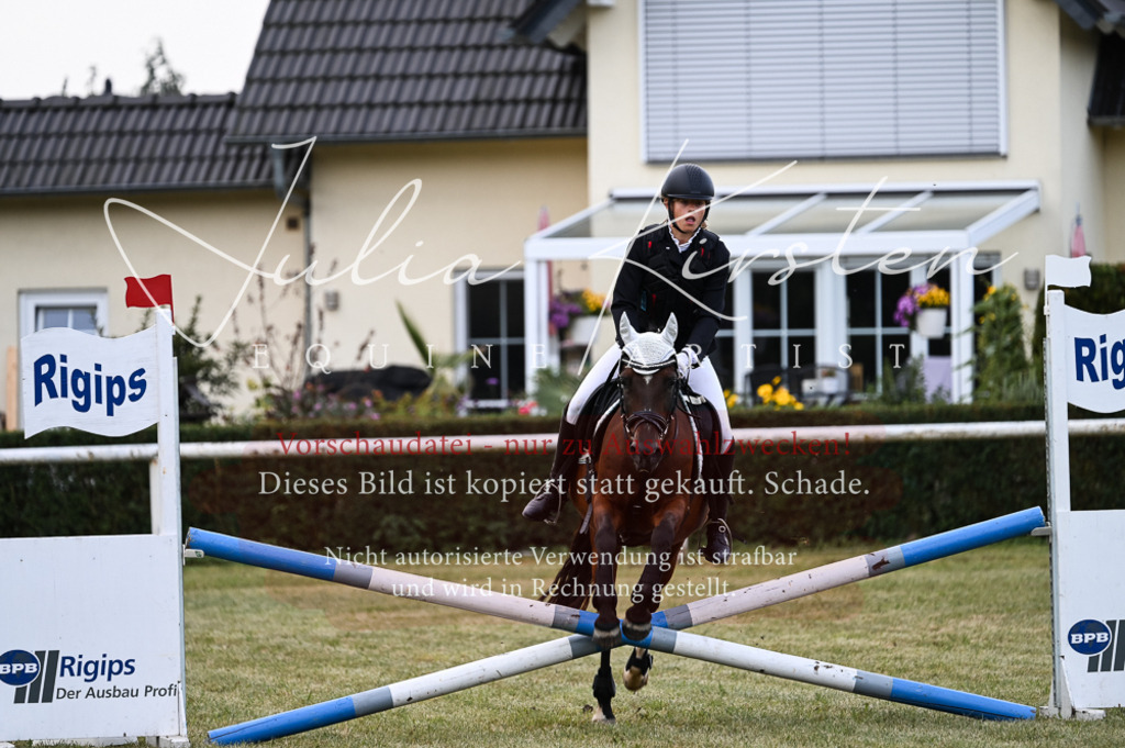 DSC_5716 | Pferde- und Turnierfotografie in Westsachsen. Pferdeportraits, Auftragszeichnungen und intuitive Kunst.