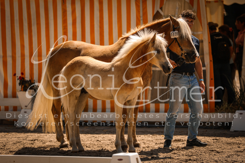 06.DoH00063 | Leoni Ertmer Photography - Realisiert mit Pictrs.com