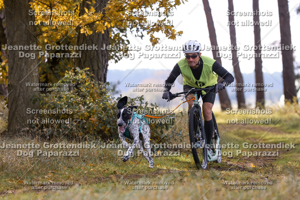 Dog Paparazzi - Elsholz 25 -172 | Dog Paparazzi Jeanette Grottendiek Fotografie & Videografie - Realisiert mit Pictrs.com