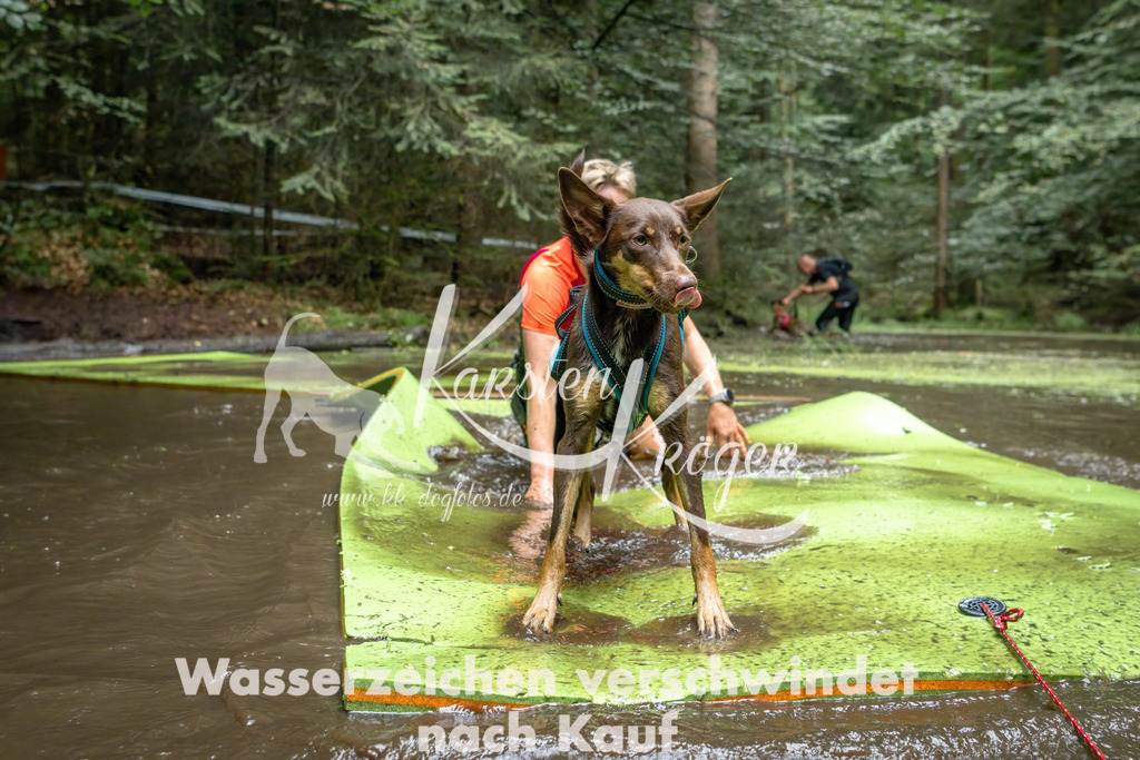1539_ZZ91749-Bearbeitet | kk-dogfotos