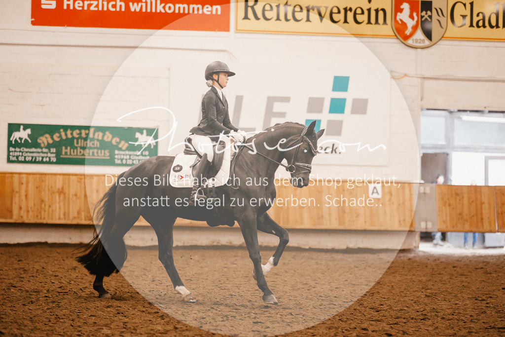 3I6A5266 | Stimmungsvolle Portraits und Reitsportfotografie im Ruhrgebiet und im Münsterland.

Pferdefotografie, Hundefotografie, Tierfotografie, Reportagen, Portraits von Tier und Mensch, Turnierfotografie in Bochum, Recklinghausen, Marl, Haltern am See, Dülmen.. - Realisiert mit Pictrs.com