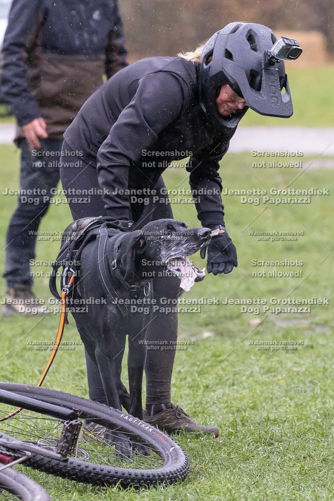 Dog Paparazzi - SD CaniX Championship 2025-921 | Dog Paparazzi Jeanette Grottendiek Fotografie & Videografie - Realisiert mit Pictrs.com