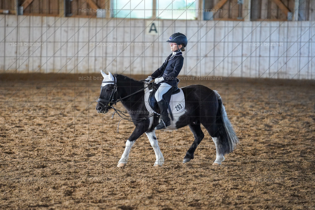 20230916-FAH08718 | Landsberg am Lech 2023, Turnierbildern, Turnierbilder Bayern, Reitsportfotograf, Pferdefotograf Bayern, Turnierfotos Landsberg, Fotoagentur Herrmann, Turnierfotografen Bayern