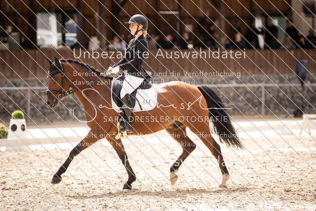SD_OED_06662 | saradresslerfotografie - Realisiert mit Pictrs.com