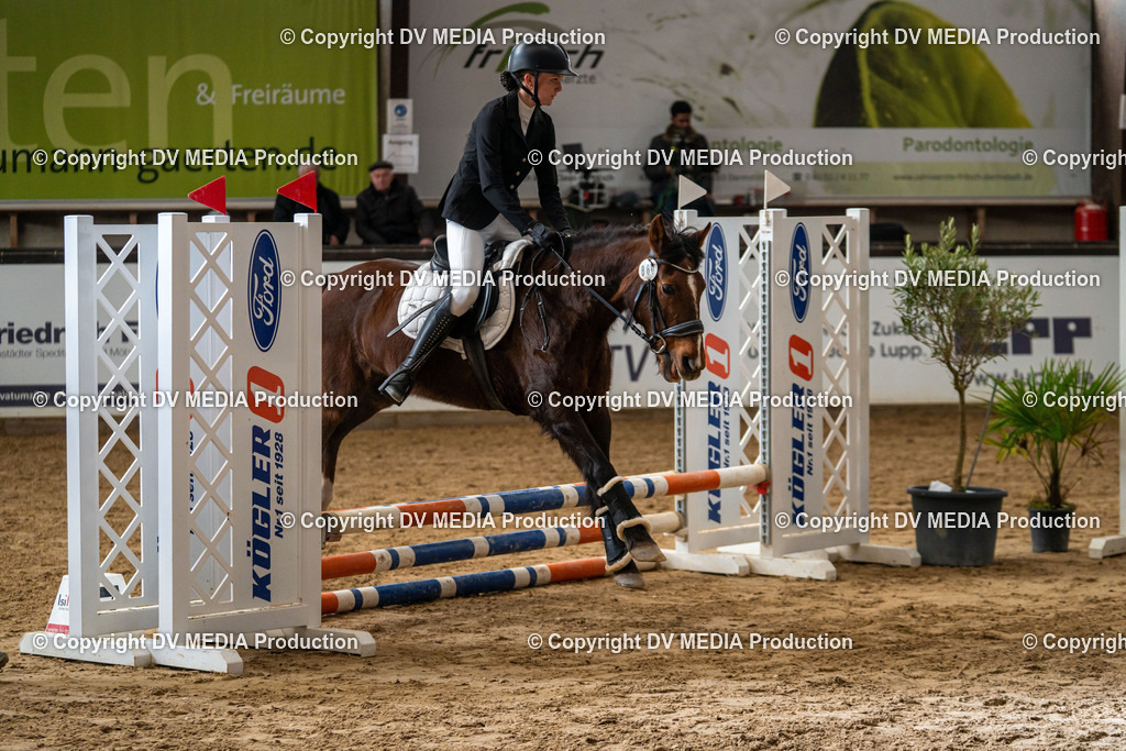 Kranichstein Tag 2-800 | dv-media-shop - Realisiert mit Pictrs.com