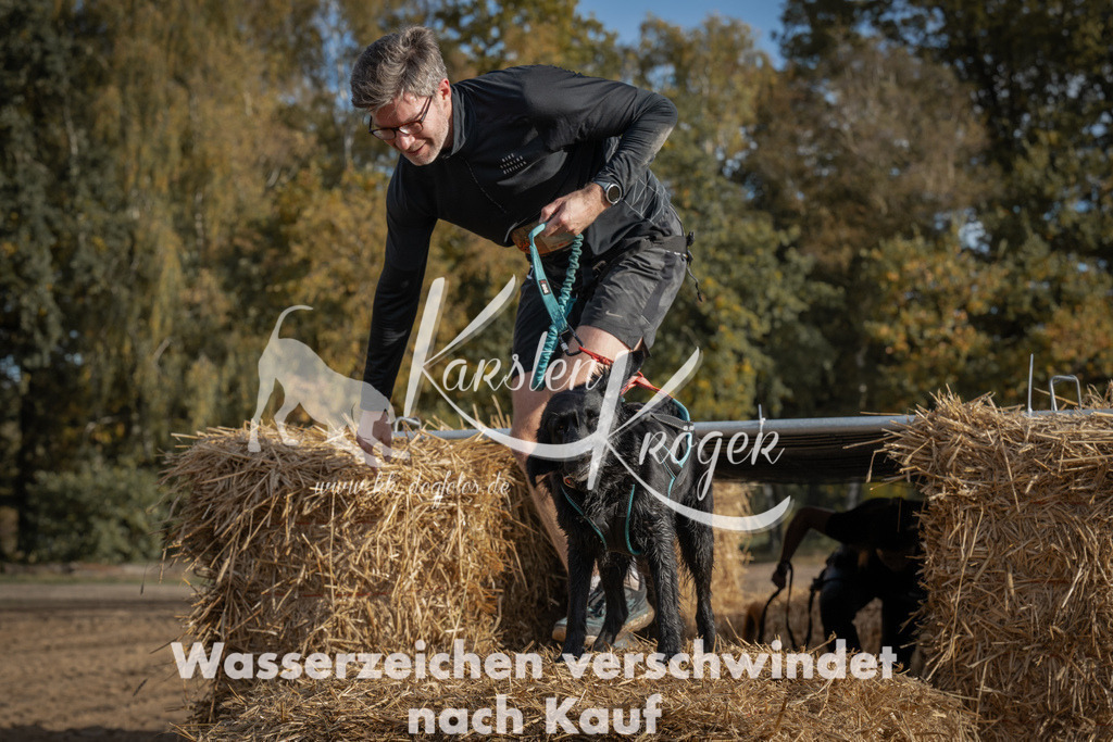 1032_ZZ98657 | kk-dogfotos