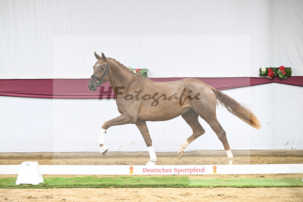 Kat-Nr. 52 Filox x Feinrich_Rothenberger Ventures GmbH_47251957 | hf-fotografie - Realisiert mit Pictrs.com