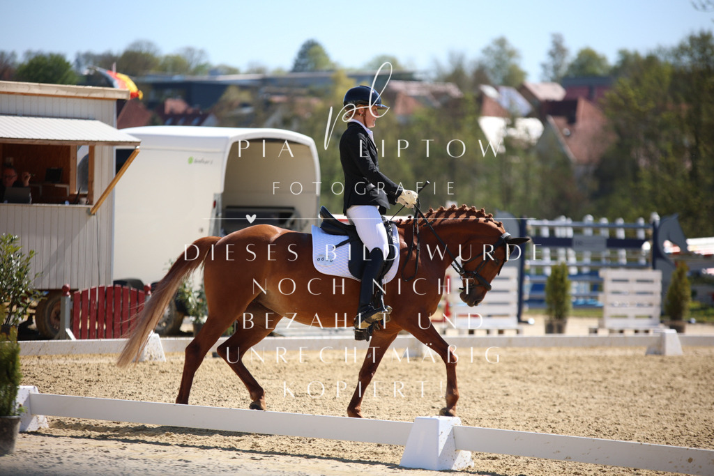 IMGT1017 | pl-fotografie