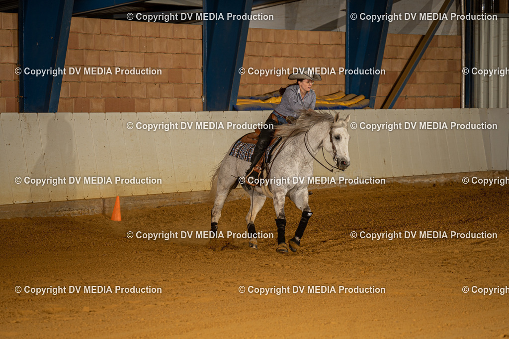 MIT00567 | dv-media-shop - Realisiert mit Pictrs.com