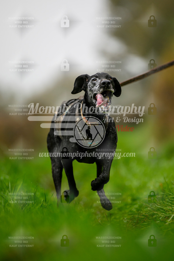 MompixPhotography_20TSB_E8_Bike-84 | PayLife