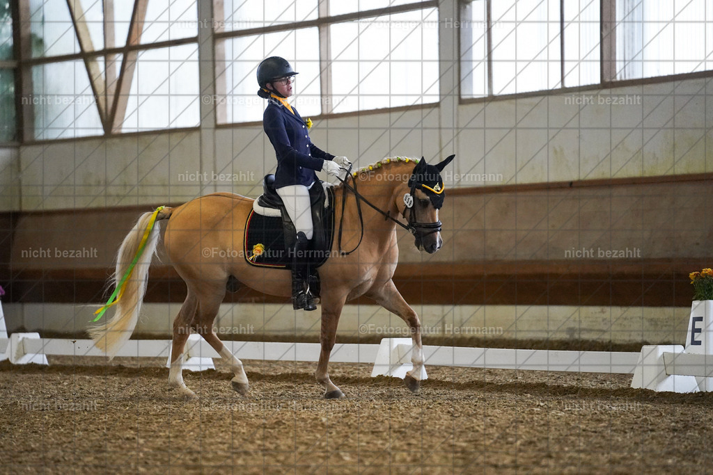 20240825-FAH08956 | Turnierbilder, Reitsportfotos, LAPO, Landesponyturnier, Turnierfotografen Bayern