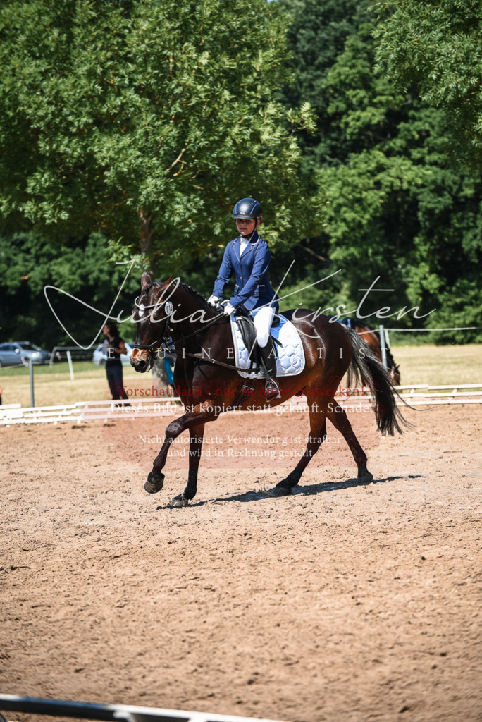 DSC_3386 | Pferde- und Turnierfotografie in Westsachsen. Pferdeportraits, Auftragszeichnungen und intuitive Kunst.