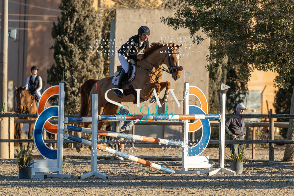 IMG_2653 | s-jay-photography - Realisiert mit Pictrs.com