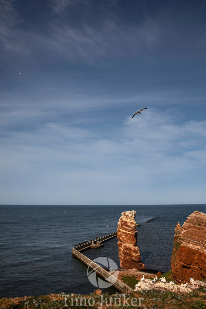 Shop_Landscapes-7128 | junker-foto - Realisiert mit Pictrs.com